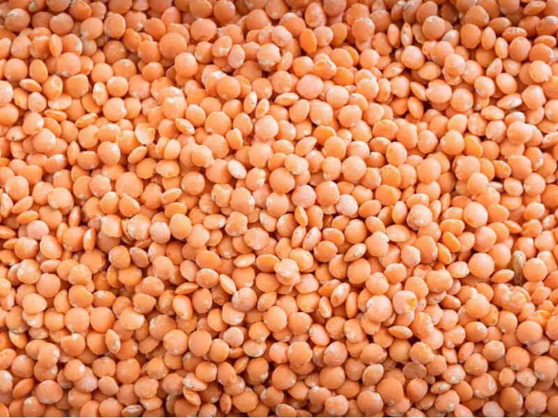 P lentils