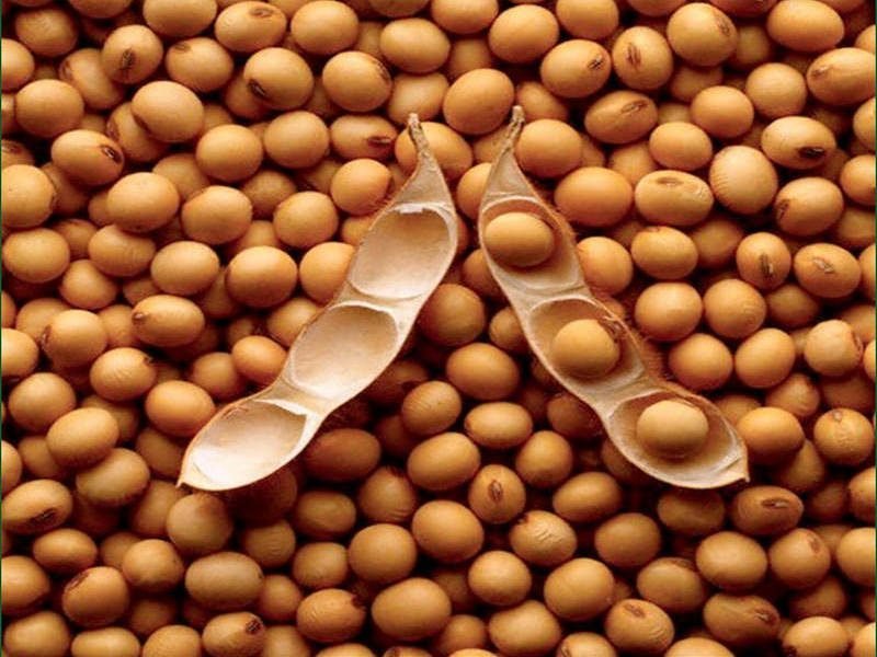 P - soybean1